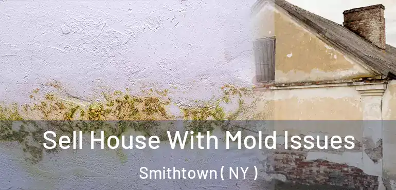  Sell House With Mold Issues Smithtown ( NY )
