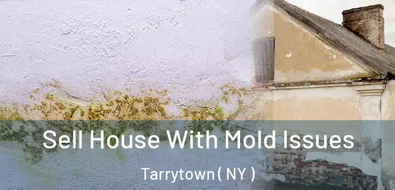  Sell House With Mold Issues Tarrytown ( NY )
