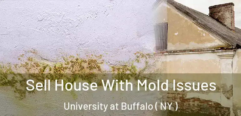  Sell House With Mold Issues University at Buffalo ( NY )