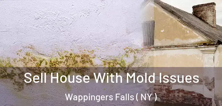  Sell House With Mold Issues Wappingers Falls ( NY )