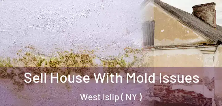  Sell House With Mold Issues West Islip ( NY )