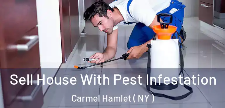  Sell House With Pest Infestation Carmel Hamlet ( NY )