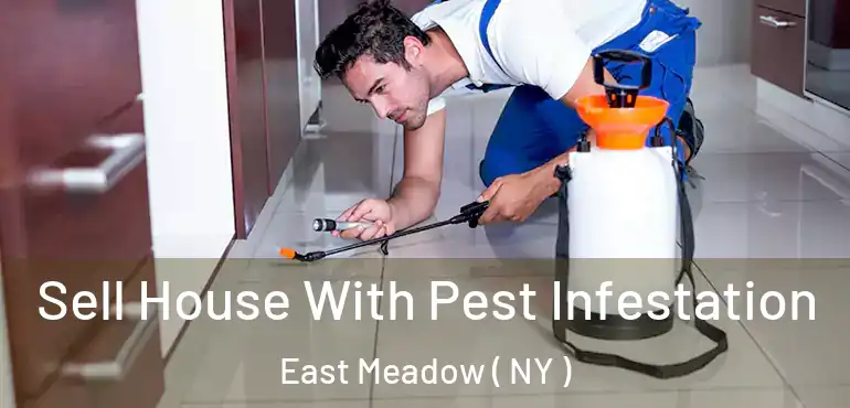  Sell House With Pest Infestation East Meadow ( NY )