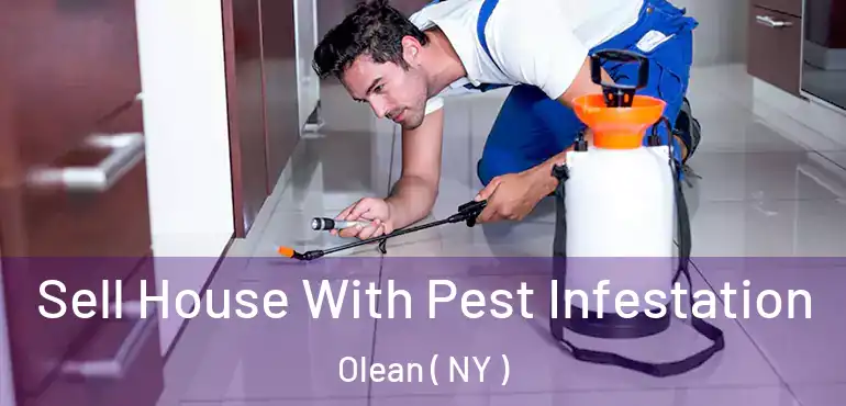 Sell House With Pest Infestation Olean ( NY )
