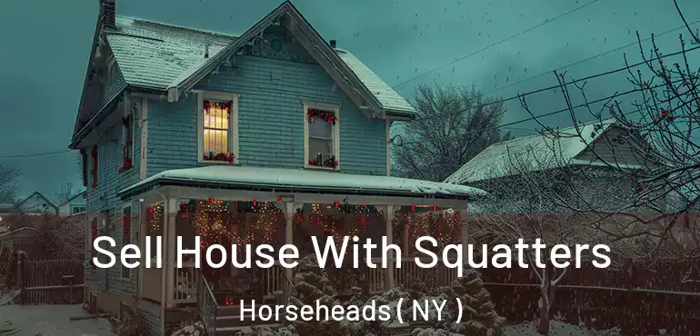  Sell House With Squatters Horseheads ( NY )