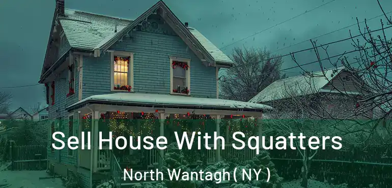  Sell House With Squatters North Wantagh ( NY )