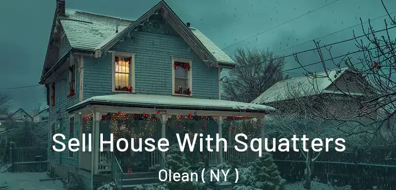  Sell House With Squatters Olean ( NY )