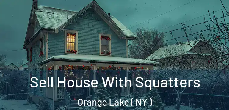  Sell House With Squatters Orange Lake ( NY )