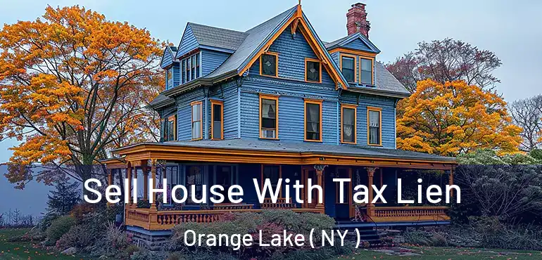  Sell House With Tax Lien Orange Lake ( NY )