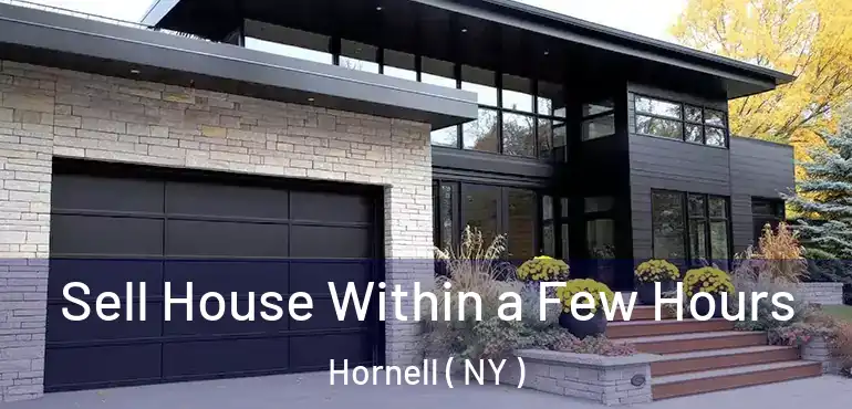  Sell House Within a Few Hours Hornell ( NY )