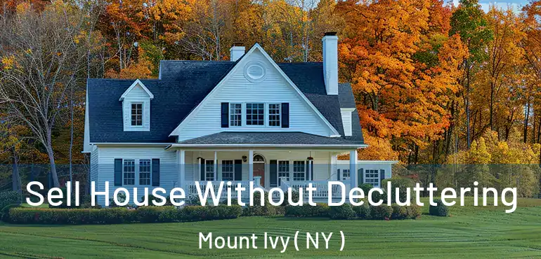  Sell House Without Decluttering Mount Ivy ( NY )