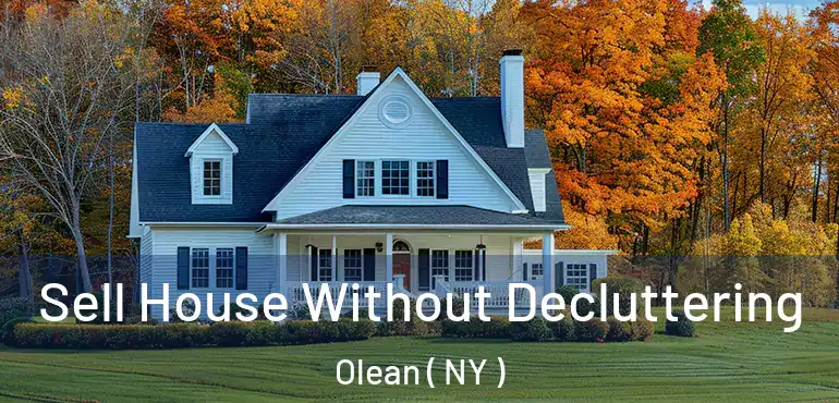  Sell House Without Decluttering Olean ( NY )