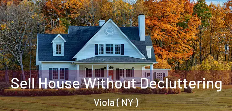  Sell House Without Decluttering Viola ( NY )
