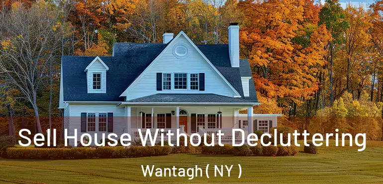  Sell House Without Decluttering Wantagh ( NY )