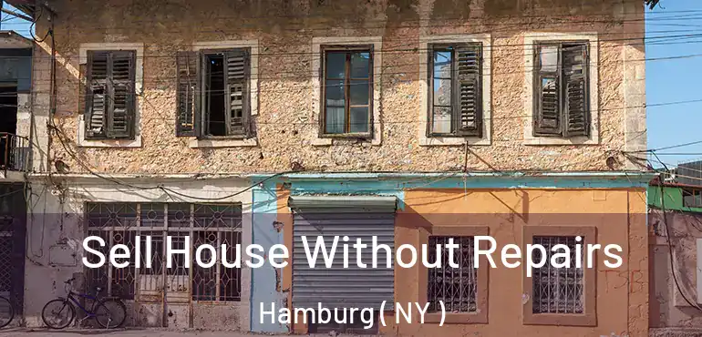 Sell House Without Repairs Hamburg ( NY )