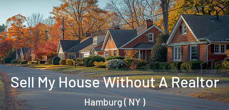  Sell My House Without A Realtor Hamburg ( NY )