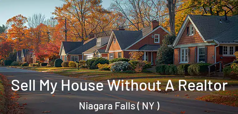  Sell My House Without A Realtor Niagara Falls ( NY )