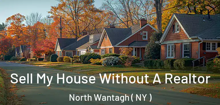  Sell My House Without A Realtor North Wantagh ( NY )