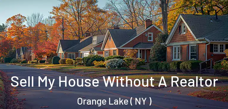  Sell My House Without A Realtor Orange Lake ( NY )