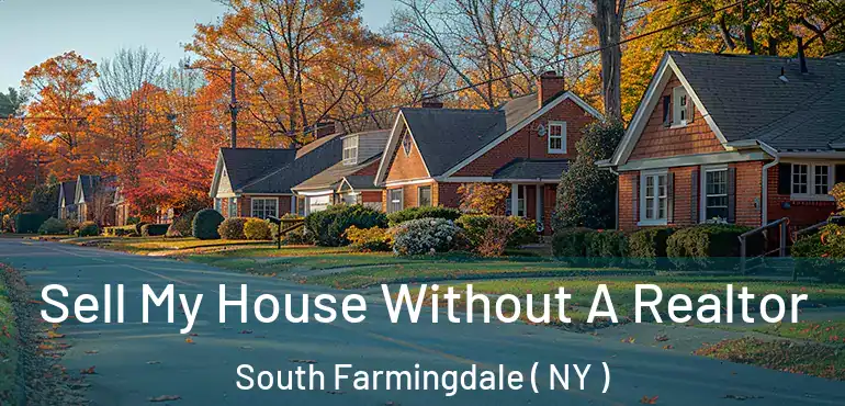 Sell My House Without A Realtor South Farmingdale ( NY )