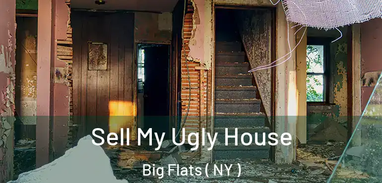  Sell My Ugly House Big Flats ( NY )