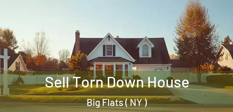  Sell Torn Down House Big Flats ( NY )