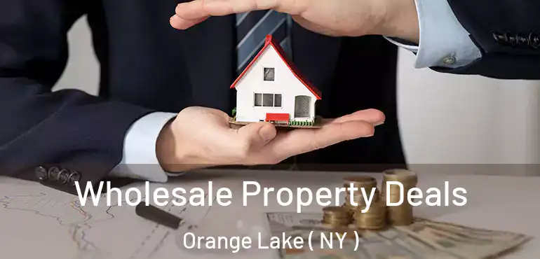  Wholesale Property Deals Orange Lake ( NY )